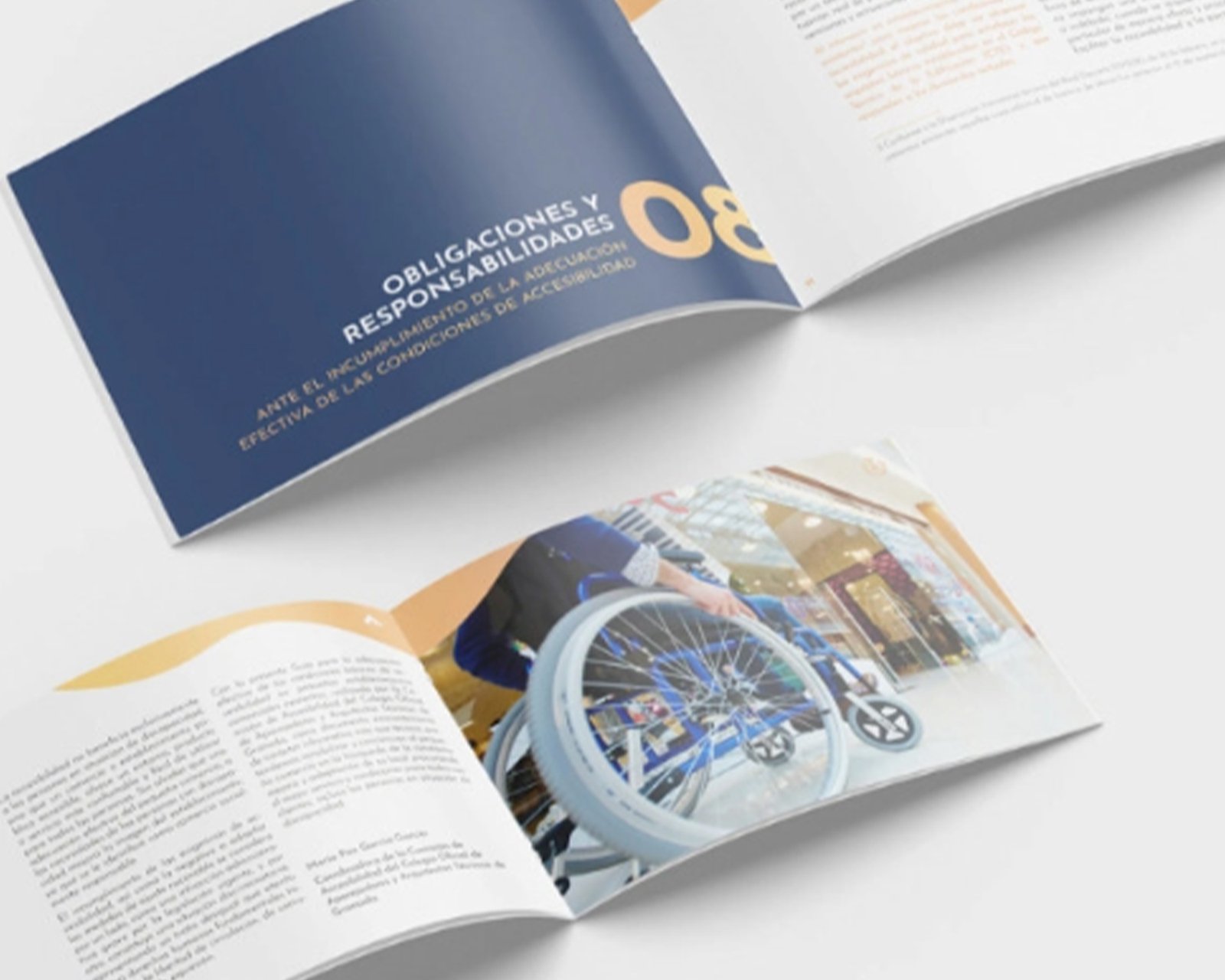 revista 1