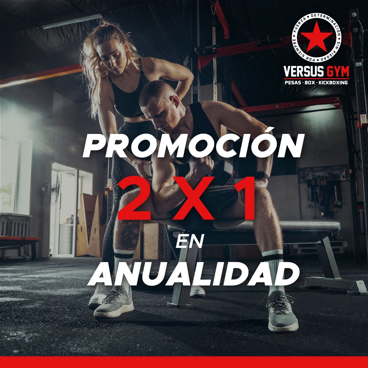 VINIL PAREDVERSUS GYM-04