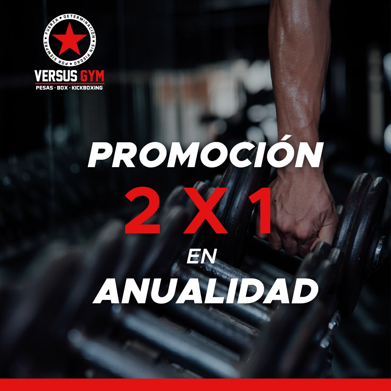 VINIL PAREDVERSUS GYM-05