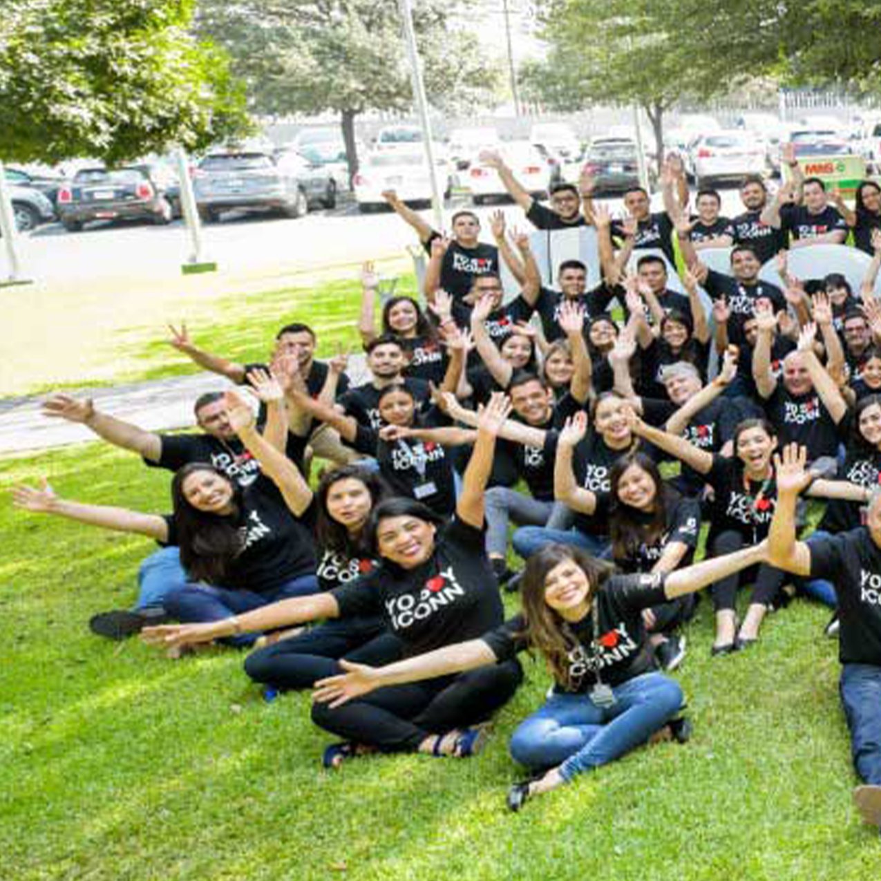 VINIL PAREDVERSUS GYM